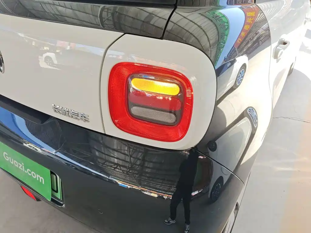 Euler Black Cat 2021 301km Cute Pet Edition купить на сайте DeffCars
