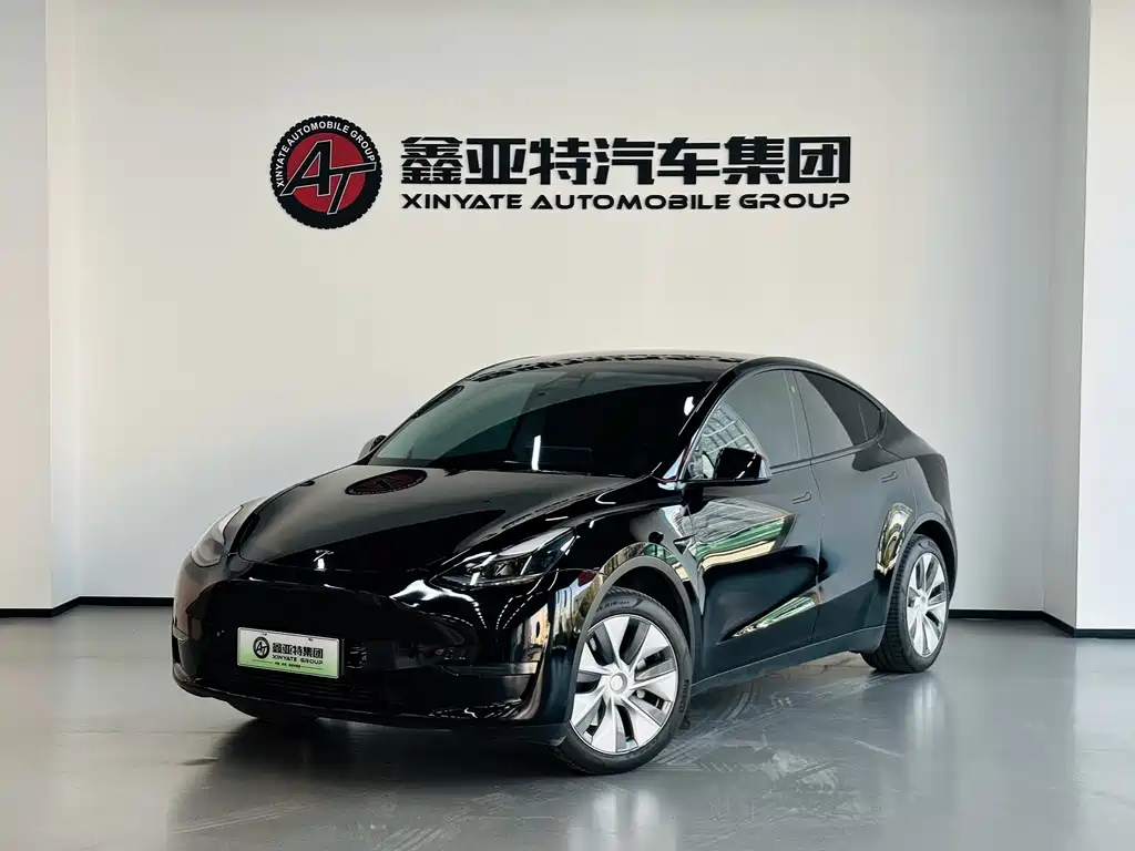 Model Y 2021 standard range rear-wheel drive version купить на сайте DeffCars