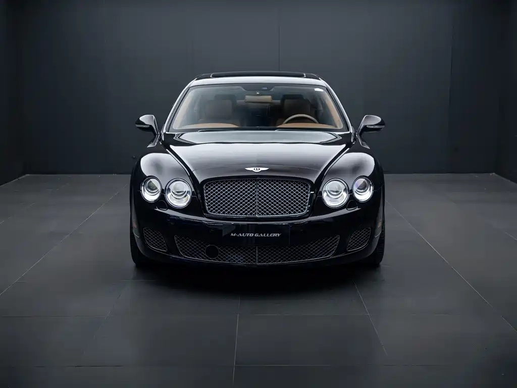 Mercedes-Benz 2010 Speed ​​China 6.0T купить на сайте DeffCars