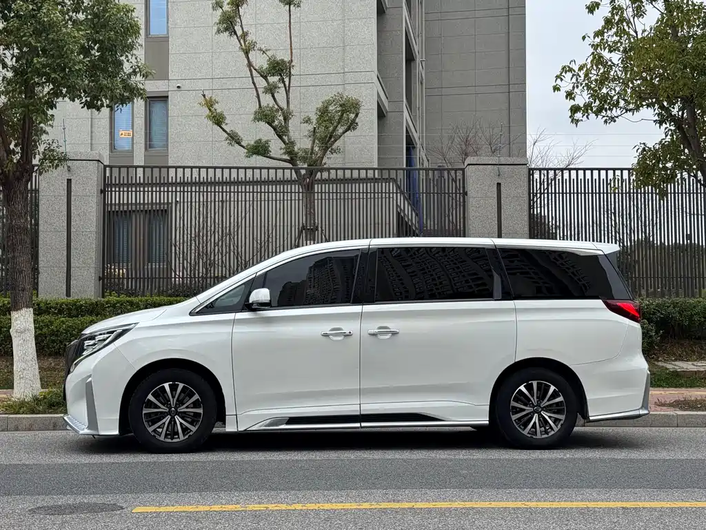 Trumpchi M8 2021 Lead Show Series 390T Exclusive Edition купить на сайте DeffCars