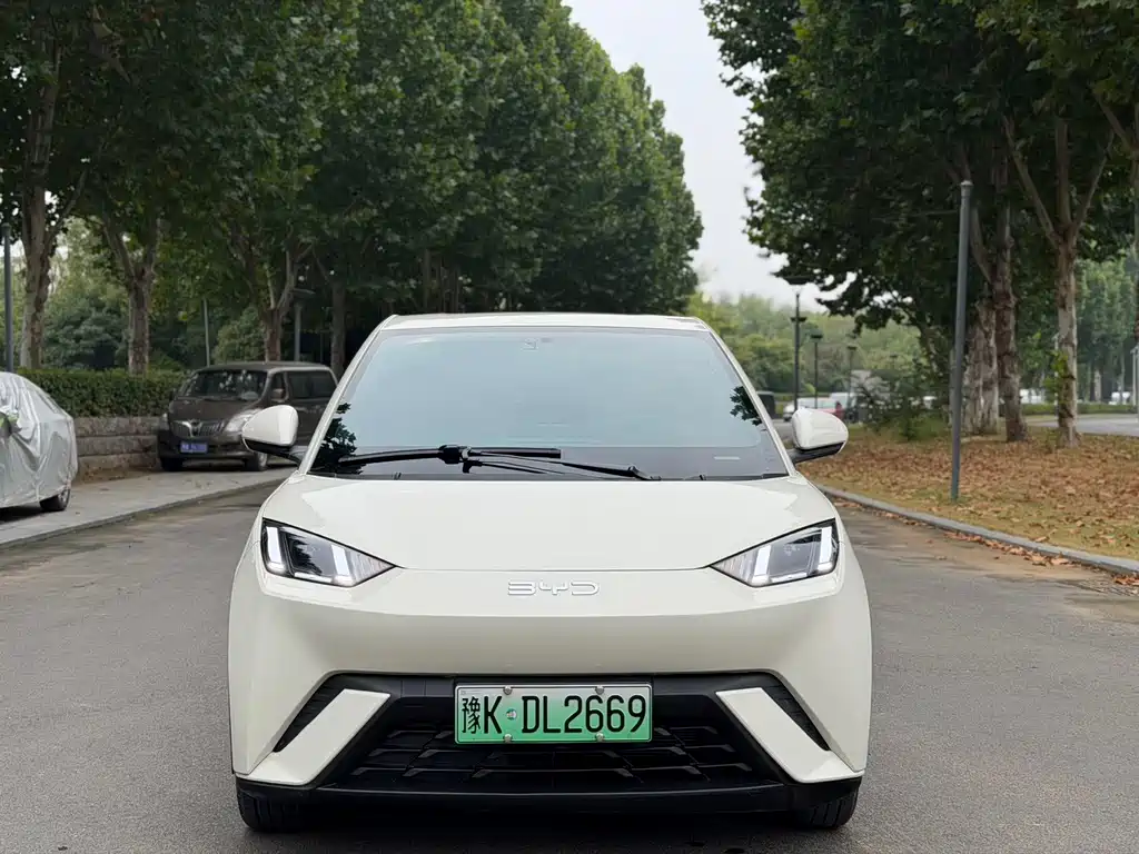Seagull 2025 model 305km free version купить на сайте DeffCars