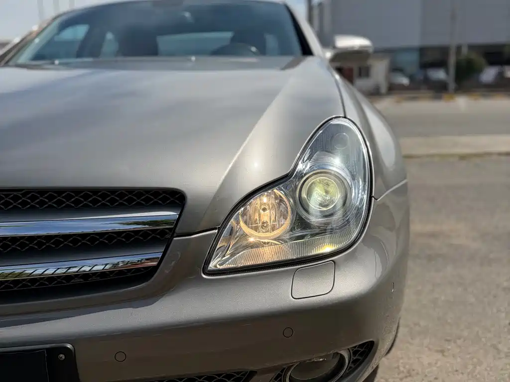 Mercedes-Benz CLS 2009 CLS 300 купить на сайте DeffCars