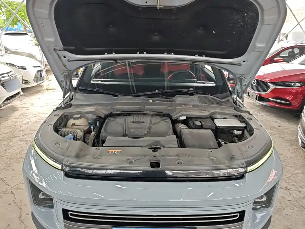 ICON 2020 1.5TD i6 BSG купить на сайте DeffCars