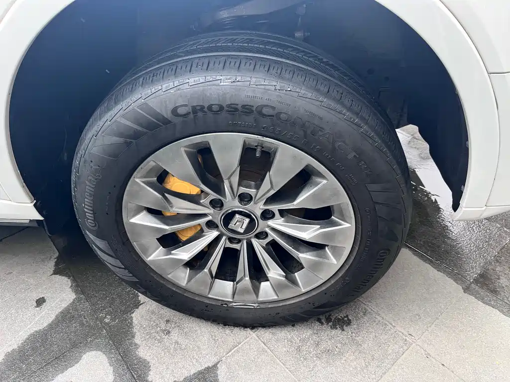 Tank 500 2022 model 3.0T sports version, environment type, 5 seats купить на сайте DeffCars