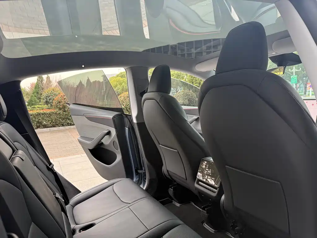 Model Y 2025 rear-wheel drive version купить на сайте DeffCars