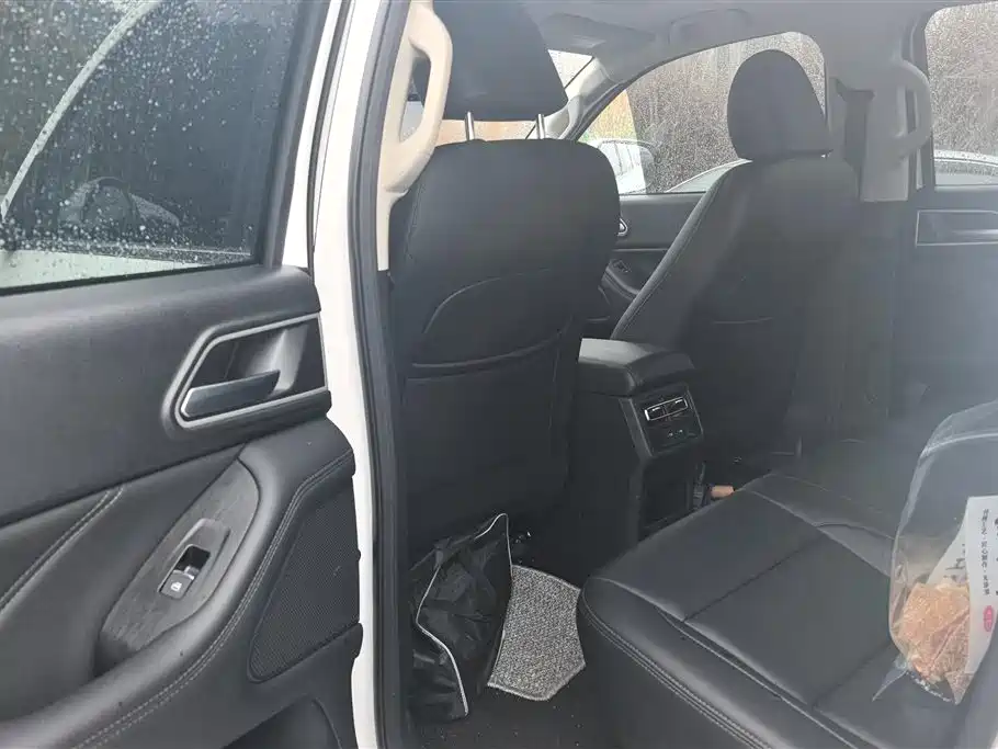 Cannon 2023 2.0T passenger version automatic diesel four-wheel drive comfort type GW4D20M купить на сайте DeffCars