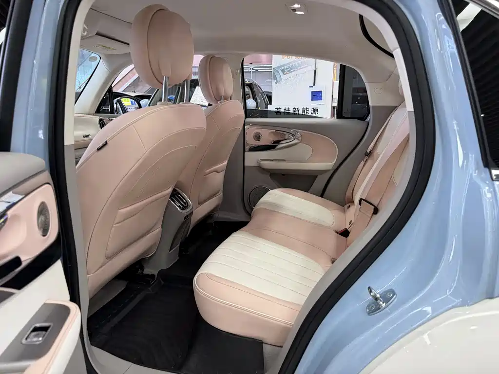 Ora Ballet Cat 2022 500km Sleeping Beauty Edition купить на сайте DeffCars