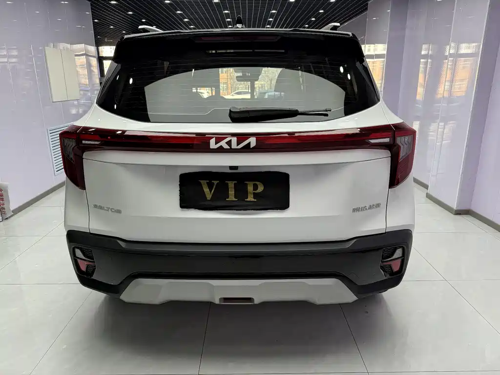 Sethus 2023 1.5L CVT Deluxe Edition купить на сайте DeffCars