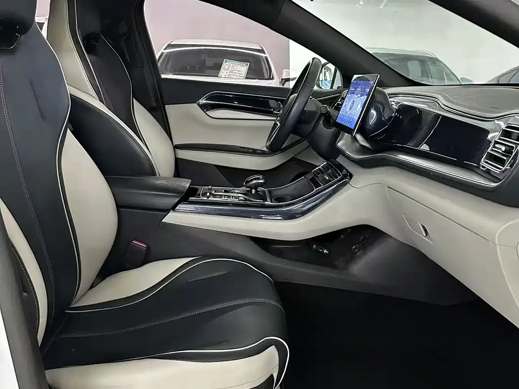 Qin PLUS 2021 EV 500KM luxury model купить на сайте DeffCars
