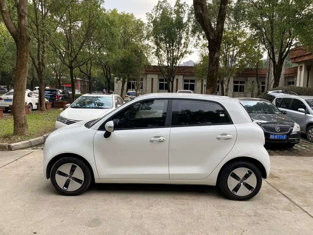 Euler Black Cat 2019 301km Standard Edition купить на сайте DeffCars