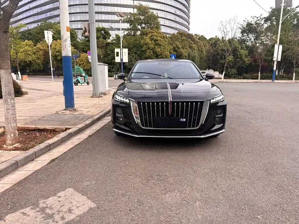 Hongqi H5 2023 1.5T DCT Zhilian Qiyun Edition купить на сайте DeffCars