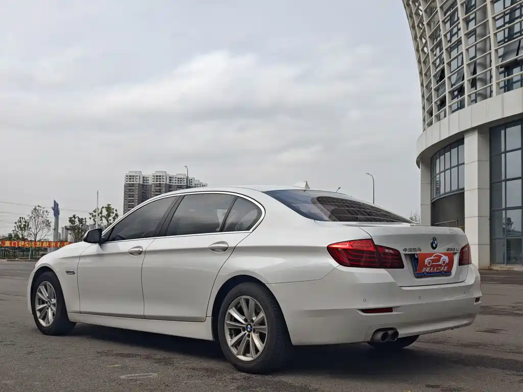 BMW 5 Series 2017 520Li Elegant купить на сайте DeffCars