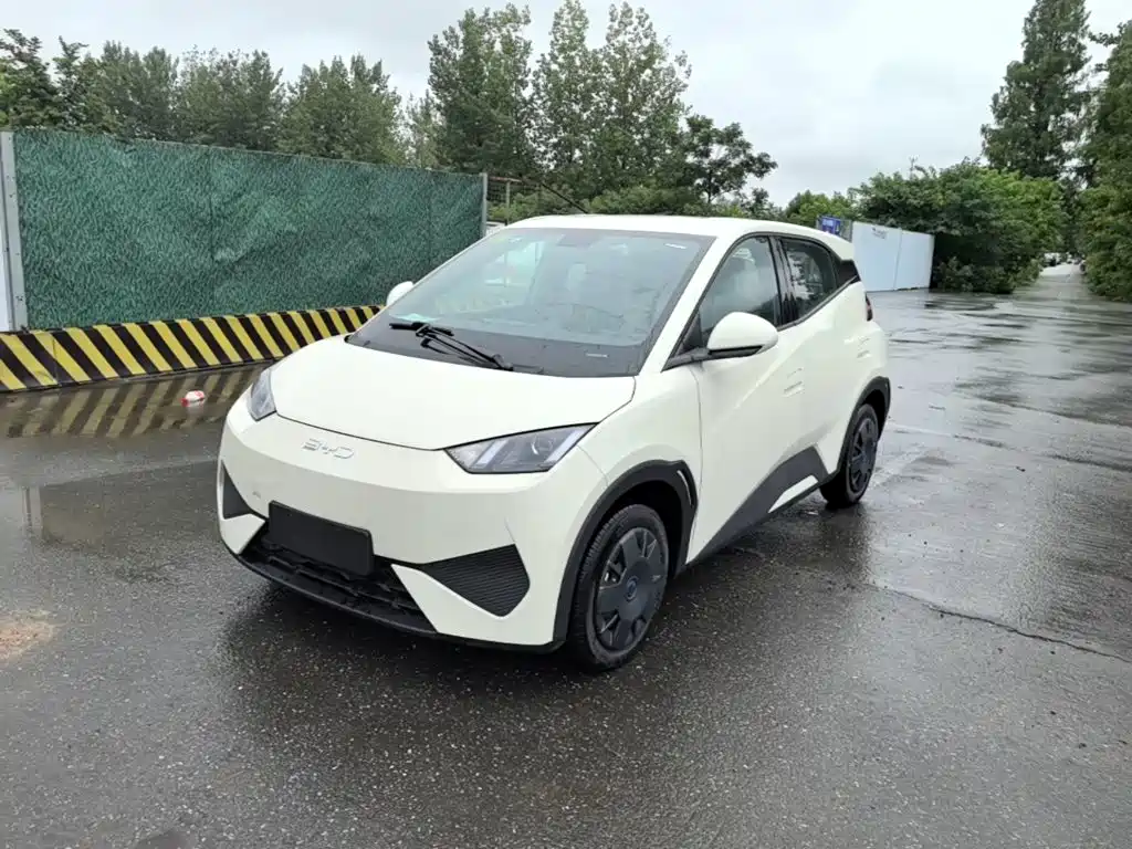 Seagull 2025 Smart Driving Edition 305km Dynamic купить на сайте DeffCars