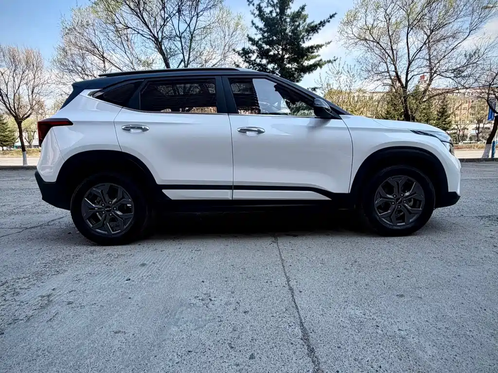 Sethus 2023 1.5L CVT Deluxe Edition купить на сайте DeffCars