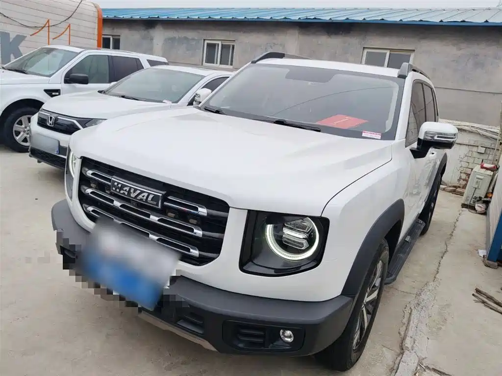 Havaldog 2021 1.5T DCT two-wheel drive Labrador version купить на сайте DeffCars