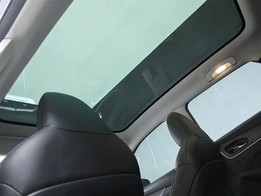Venucia V DD-i 2023 60km iD version купить на сайте DeffCars