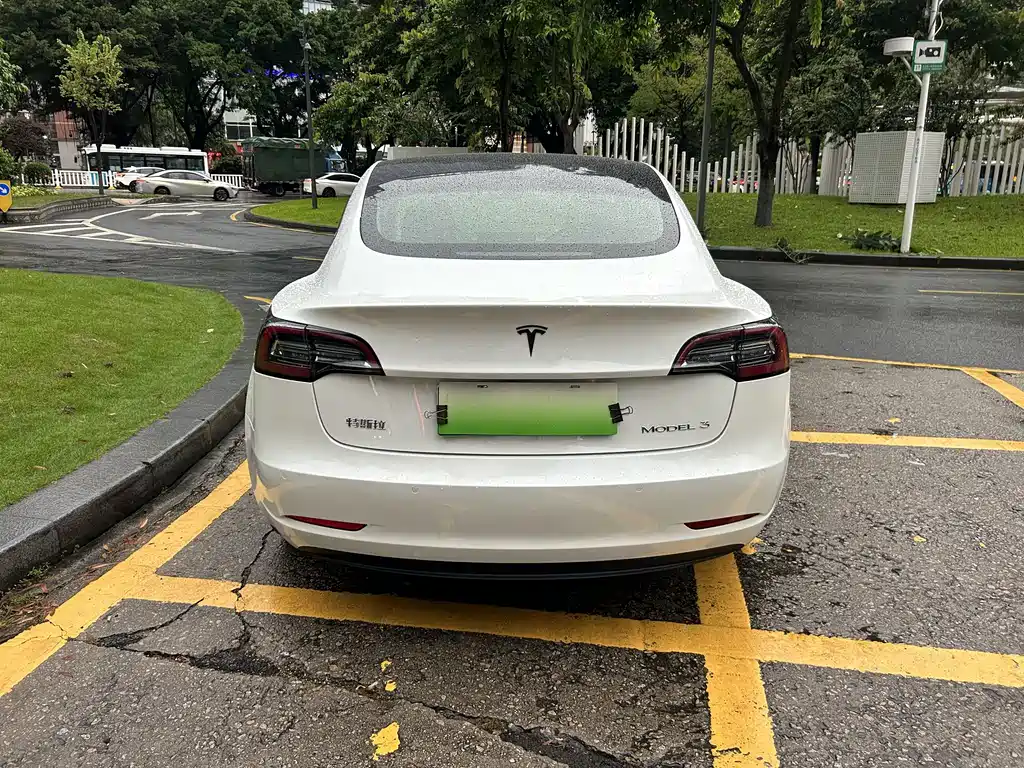 Model 3进口 2019款 标准续航后驱升级版 купить на сайте DeffCars