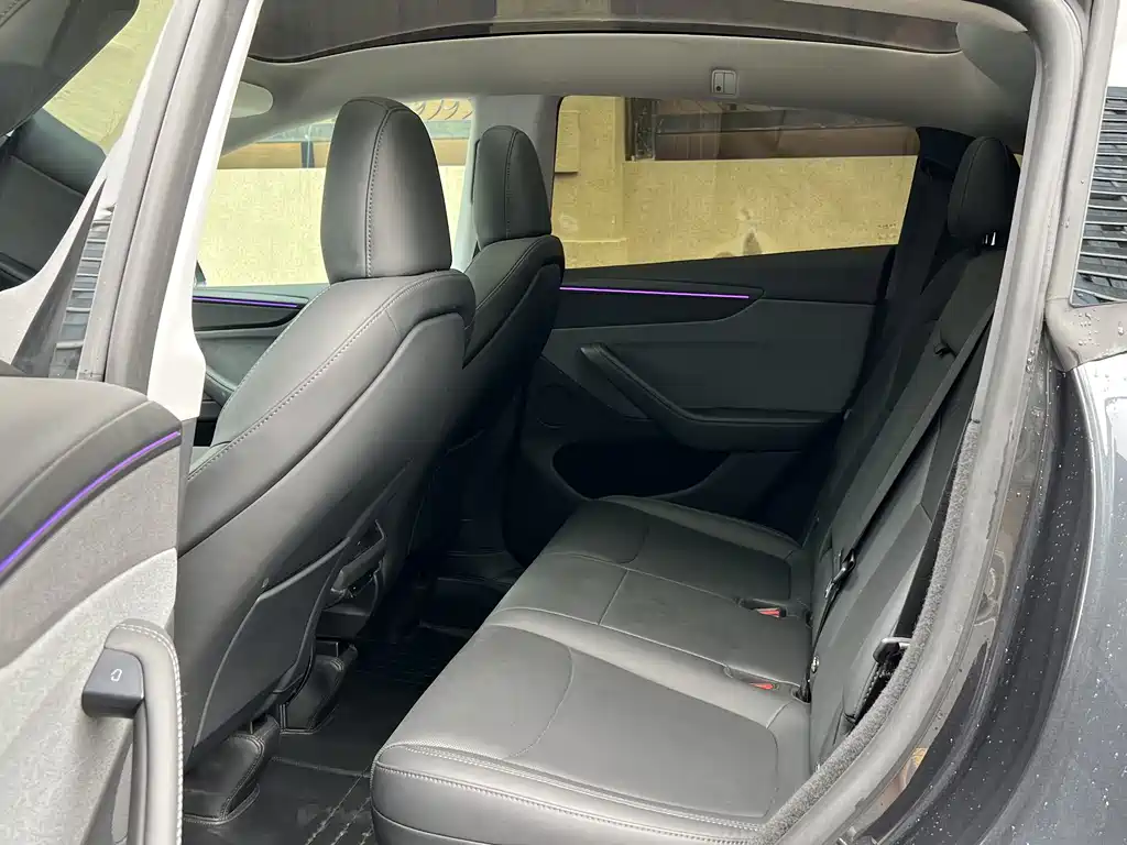 Model Y 2025 rear-wheel drive version купить на сайте DeffCars