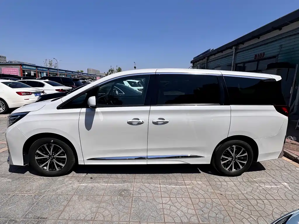 Trumpchi M8 2023 Lead Show Series 390T Exclusive Edition купить на сайте DeffCars
