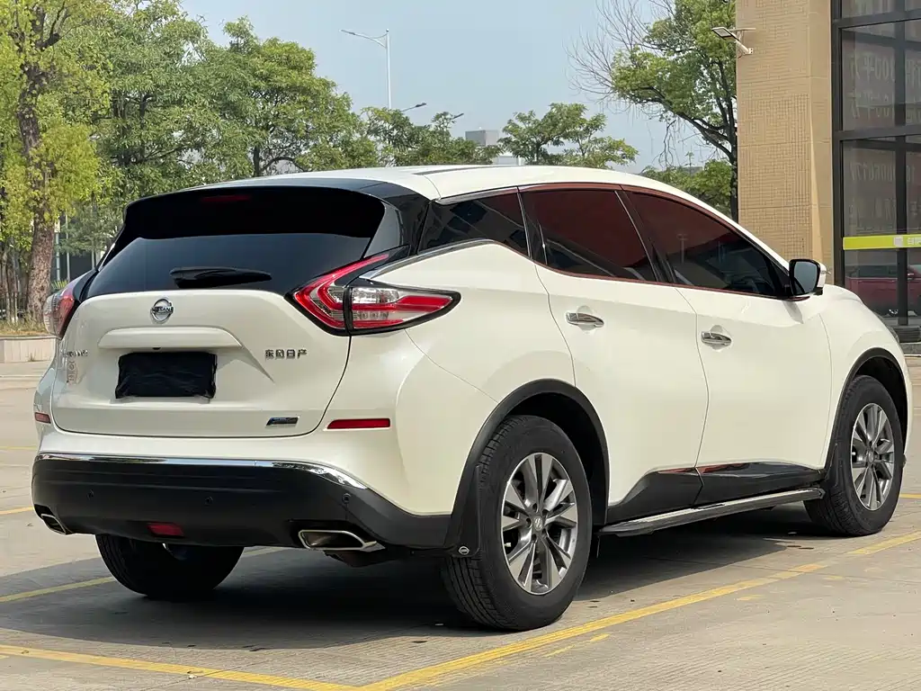 Loulan 2019 2.5L XL 2WD Intelligent Luxury Edition National V купить на сайте DeffCars