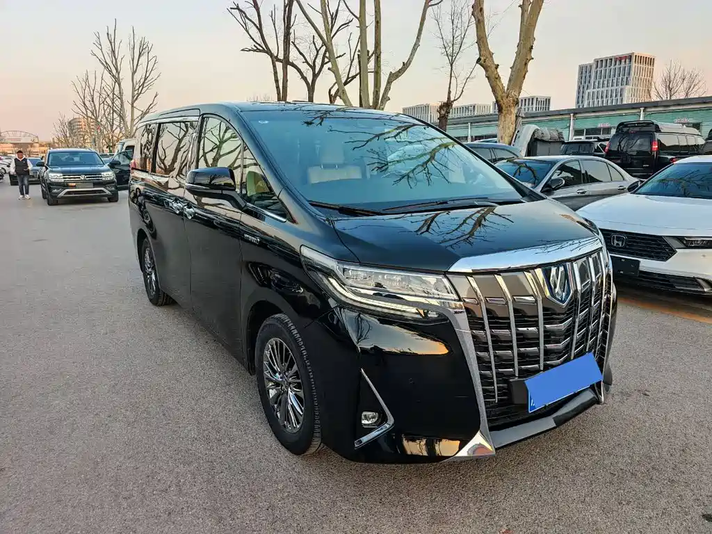 Alfa 2020 Shuangqing 2.5L Premium Edition купить на сайте DeffCars