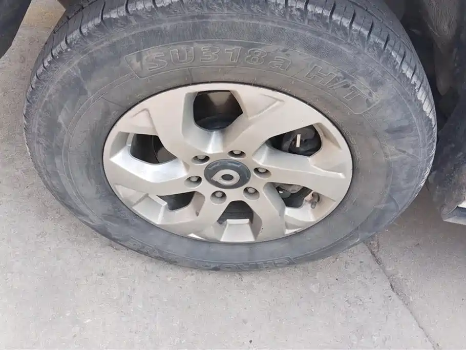 Cannon 2021 2.0T commercial version automatic diesel two-wheel drive elite long box GW4D20M купить на сайте DeffCars