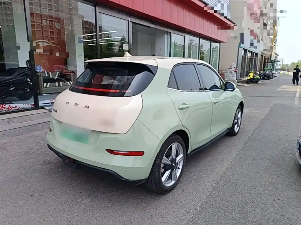 Euler Good Cat 2021 model 400km standard battery life Athena version ternary lithium купить на сайте DeffCars