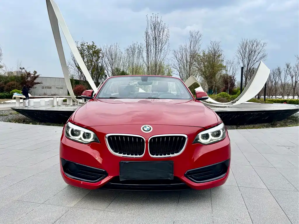 BMW 2 Series Imported 2018 220i Convertible Coupe Sports Design Package купить на сайте DeffCars