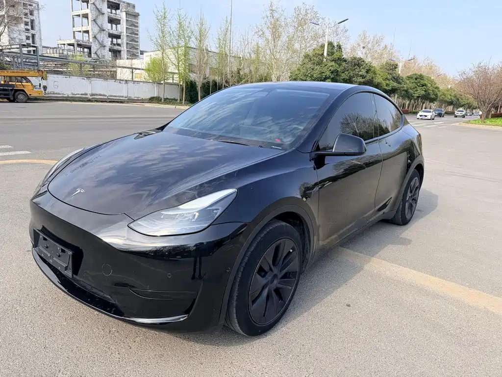 Model Y 2023 rear-wheel drive version купить на сайте DeffCars