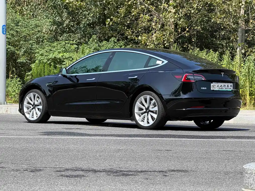 Model 3 2020 Standard Range Rear Drive Upgraded Version купить на сайте DeffCars