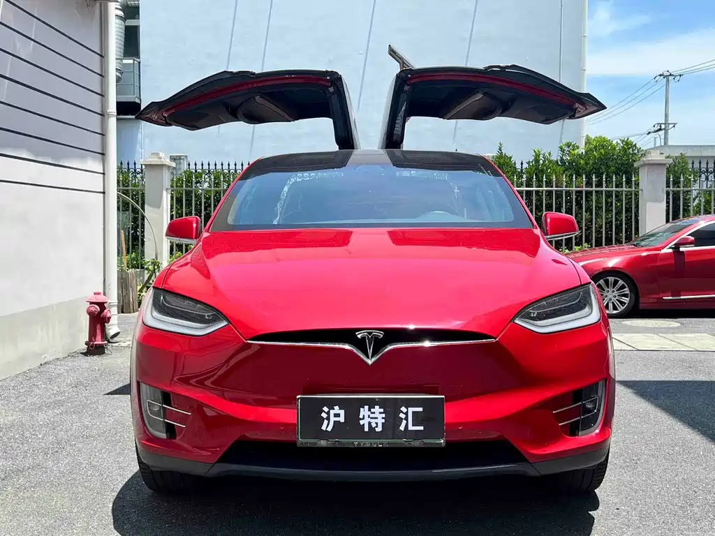 Model X 2019 Long Range Edition купить на сайте DeffCars
