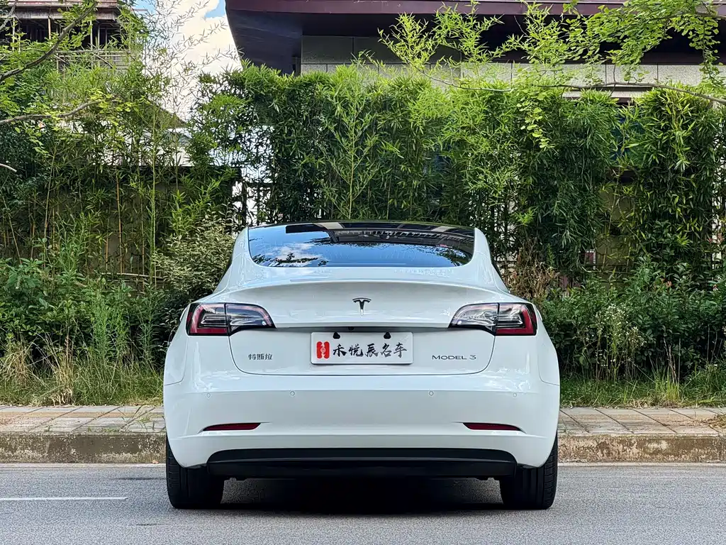 Model 3 2020 Long Range Rear Wheel Drive Edition купить на сайте DeffCars