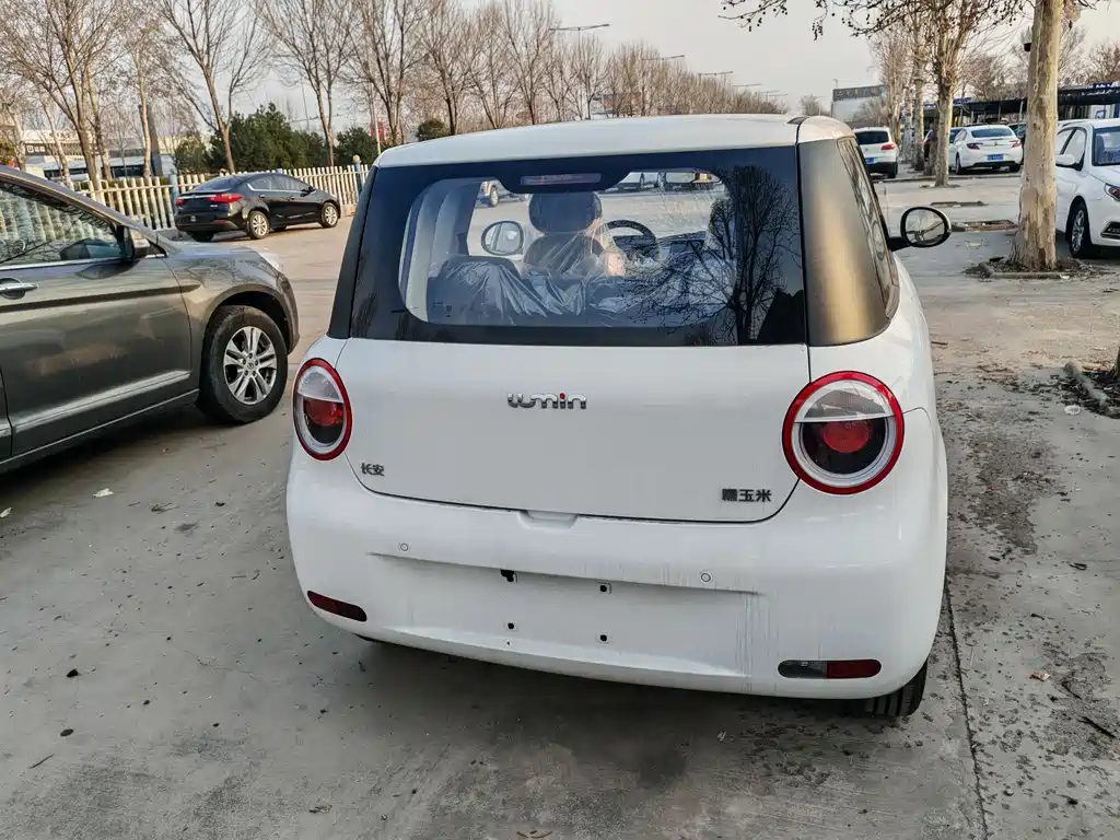 Changan Lumin 2024 model 130km Qingyue model купить на сайте DeffCars