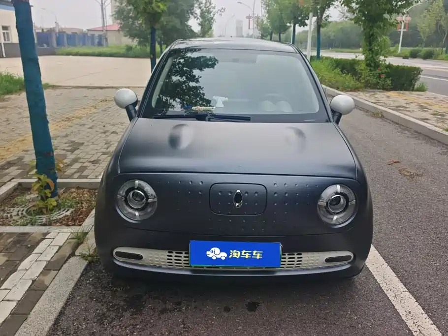 Euler Black Cat 2019 310km Smart Edition купить на сайте DeffCars