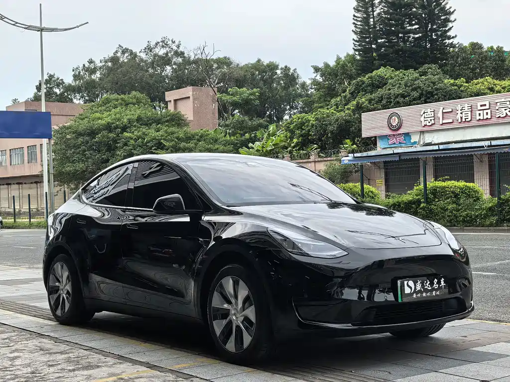 Model Y 2022 modified rear-wheel drive version купить на сайте DeffCars