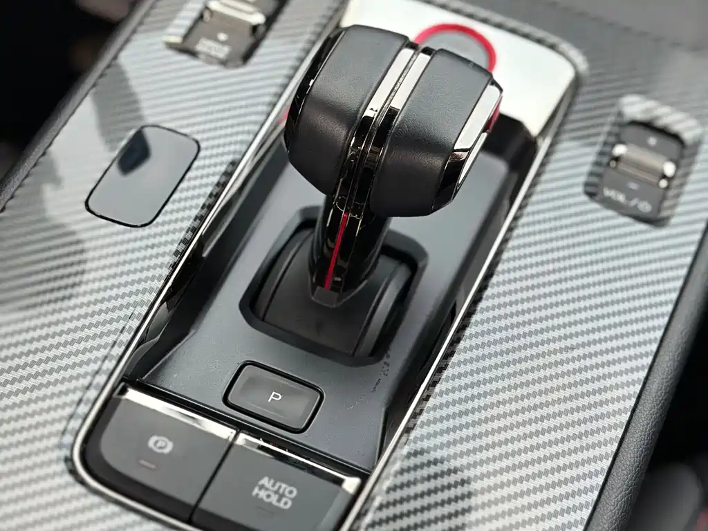 Shadow Leopard 2023 270T DCT J15 version купить на сайте DeffCars