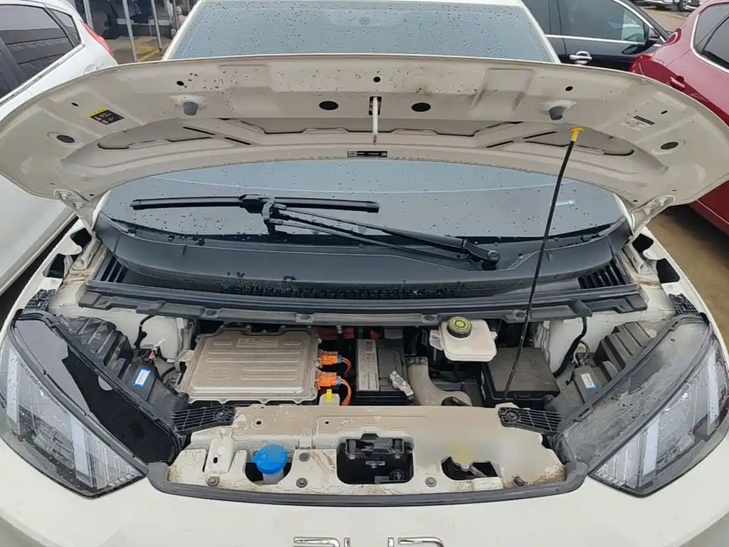Seagull 2023 Energetic Edition купить на сайте DeffCars