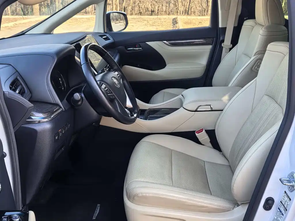 Wilfa 2020 Shuangqing 2.5L HV Premium Edition купить на сайте DeffCars