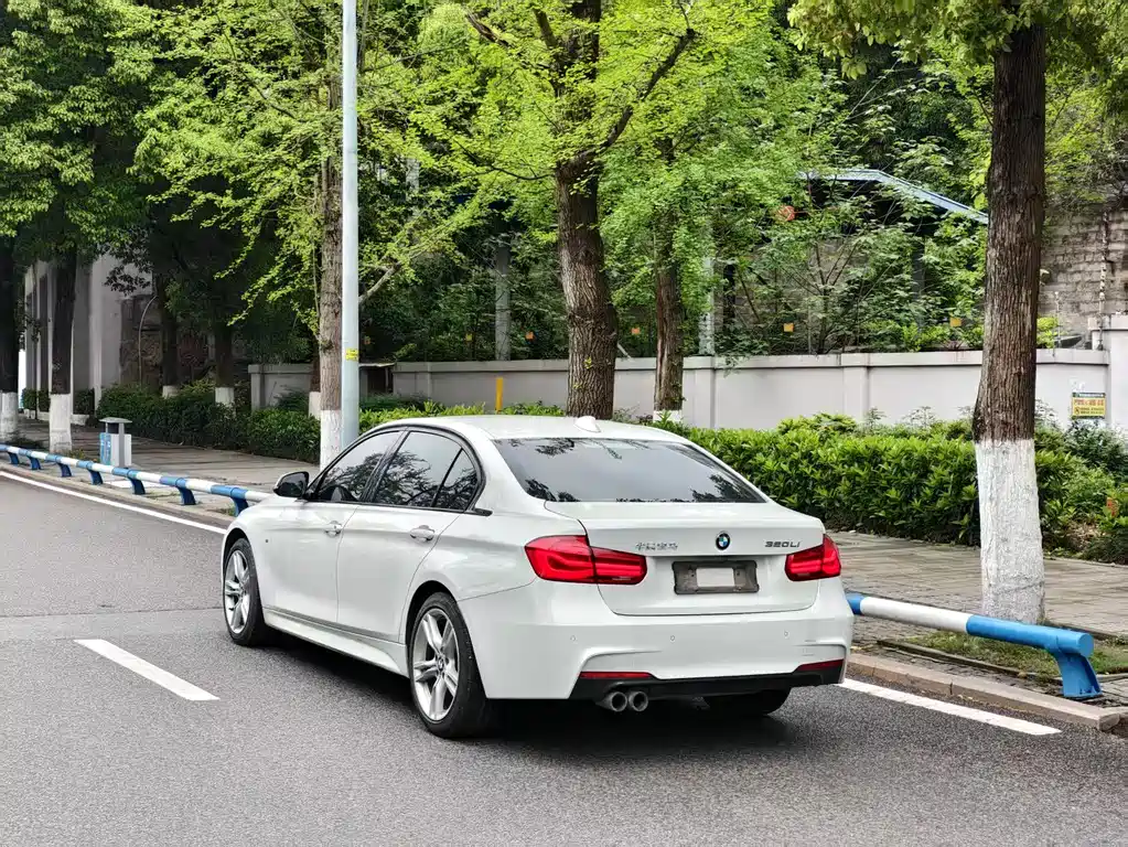 BMW 3 Series 2019 320Li M Luxury Package купить на сайте DeffCars