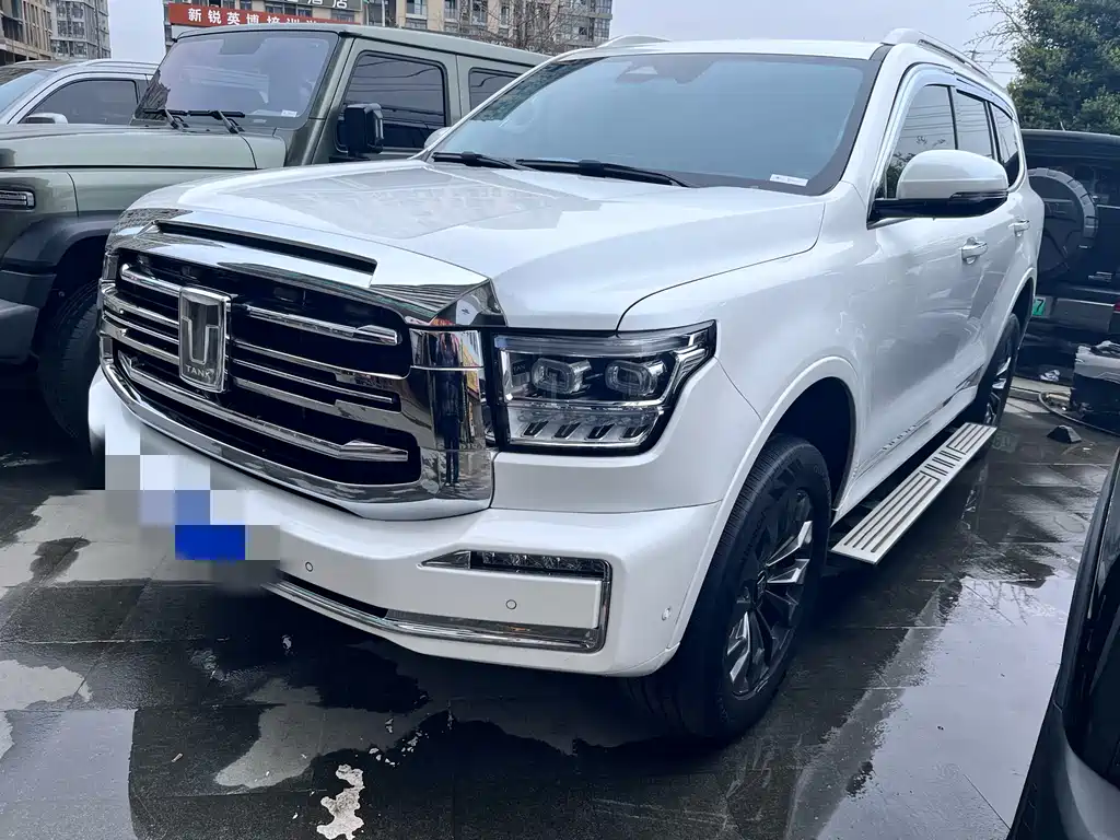 Tank 500 2022 model 3.0T sports version, environment type, 5 seats купить на сайте DeffCars