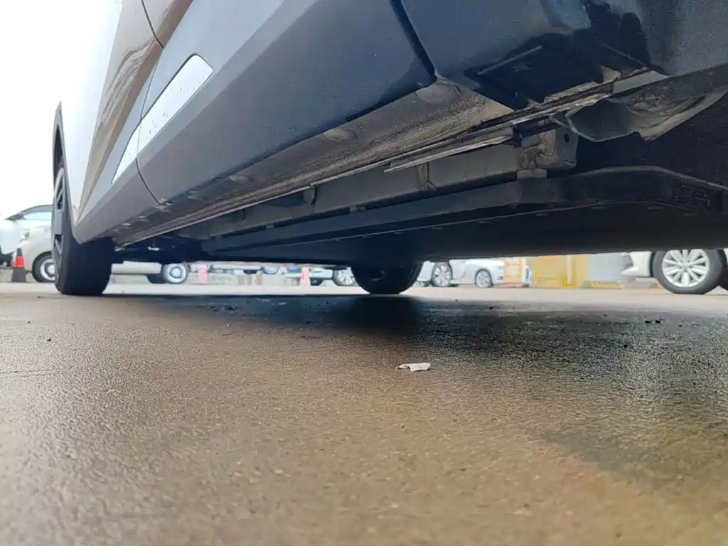 Seagull 2023 Energetic Edition купить на сайте DeffCars