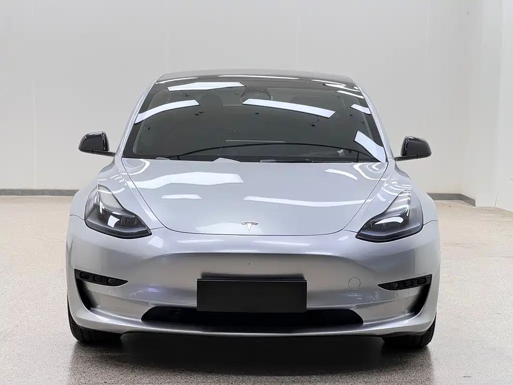 Model 3 2022 rear-wheel drive купить на сайте DeffCars