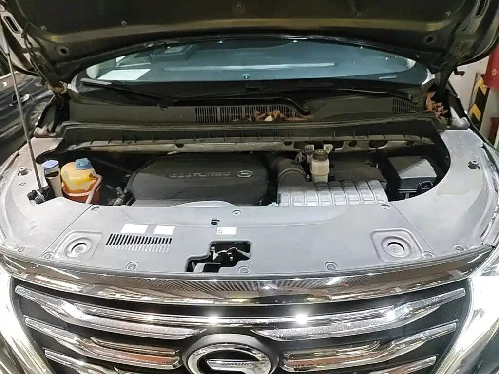 Trumpchi M8 2020 Pilot Model 390T Exclusive Edition купить на сайте DeffCars