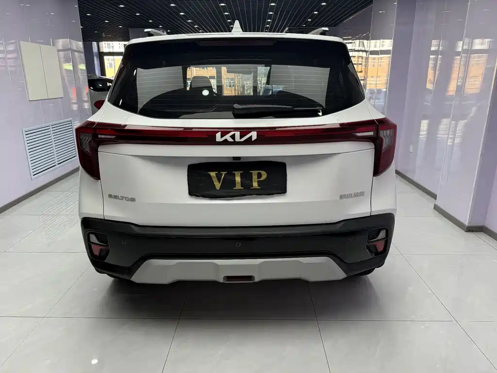 Sethus 2023 1.5L CVT Deluxe Edition купить на сайте DeffCars