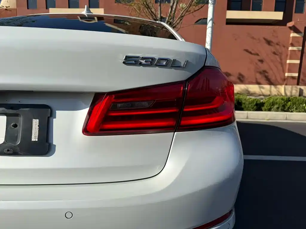 BMW 5 Series 2019 530Li Leading Luxury Package купить на сайте DeffCars