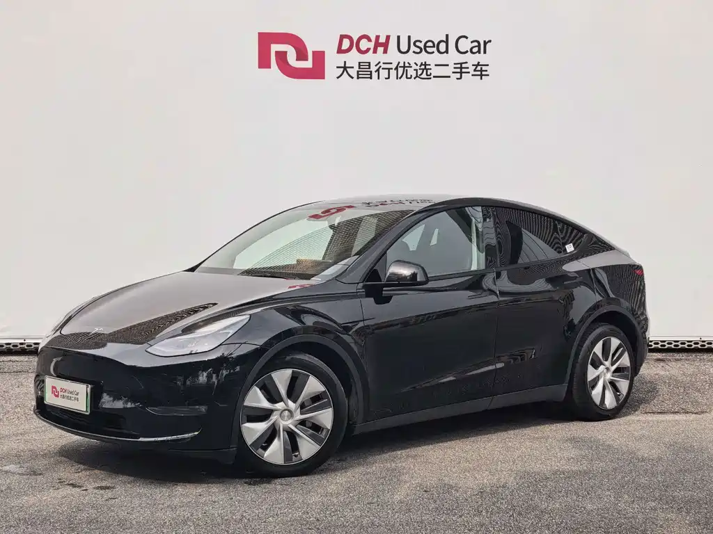 Model Y 2021 standard range rear-wheel drive version купить на сайте DeffCars