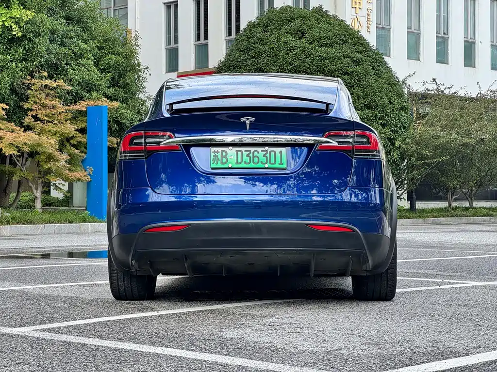 Model X 2020 long battery life upgraded version купить на сайте DeffCars