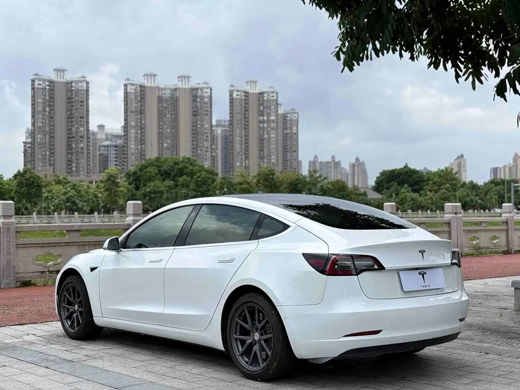 Model 3 imported 2019 standard range rear drive upgraded version купить на сайте DeffCars