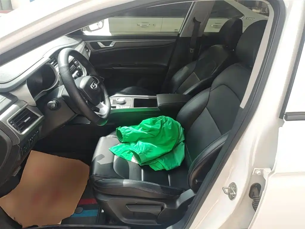Emgrand New Energy 2021 EV Pro online reservation version купить на сайте DeffCars