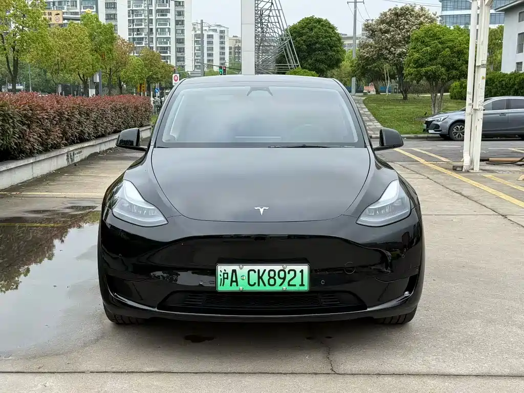 Model Y 2023 rear-wheel drive version купить на сайте DeffCars